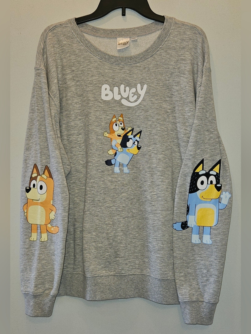 Bluey Graphic Gray Sweatshirt with Character Prints Womens Plus Size